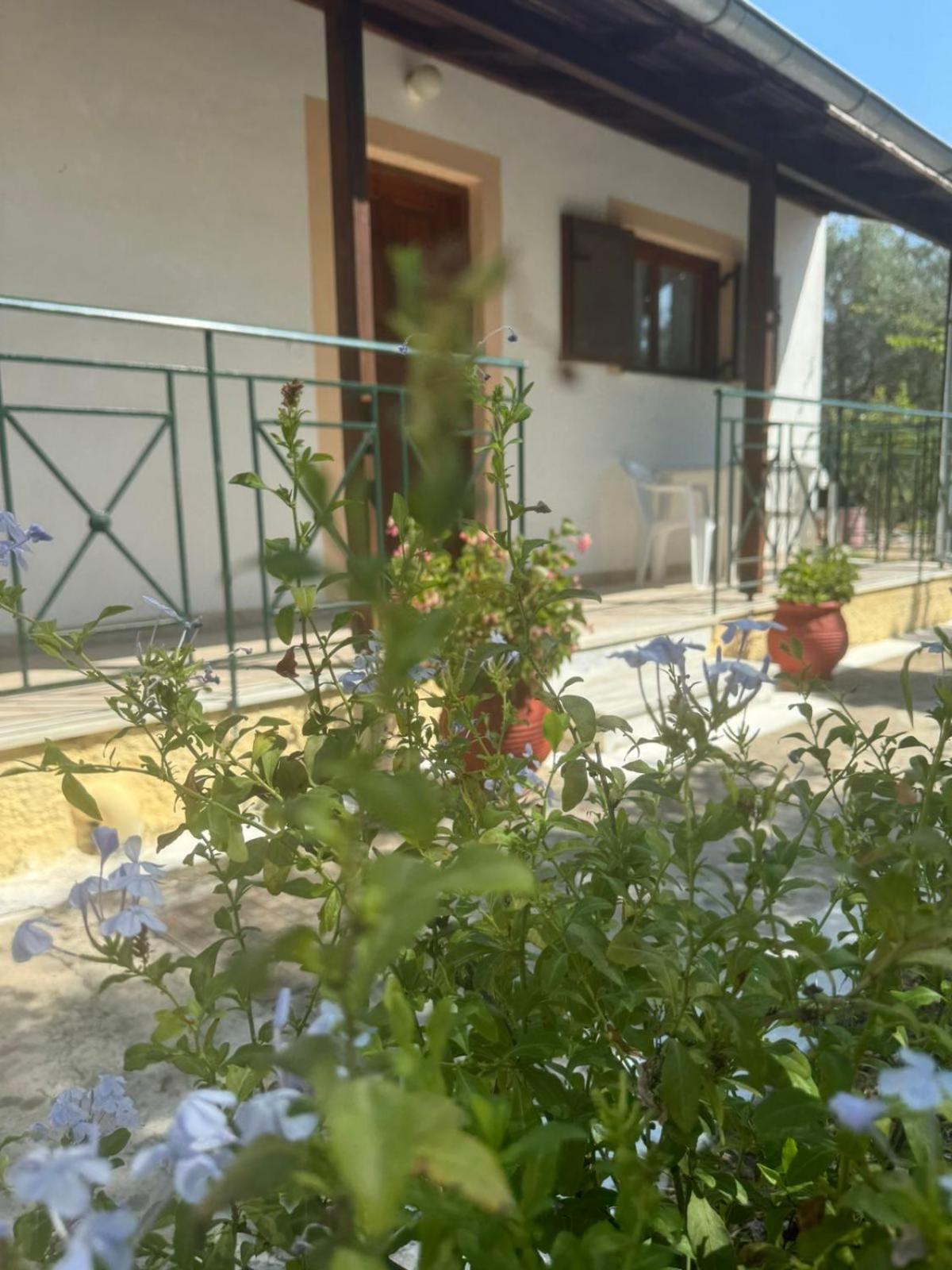 Studio Savvas Apartment Melikia Luaran gambar